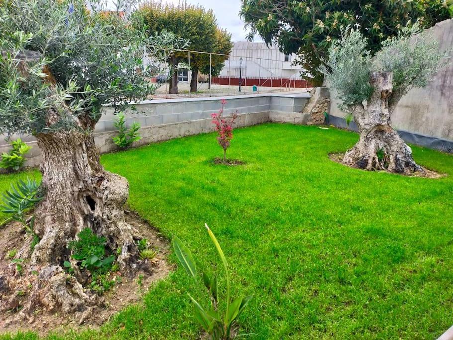 Villa Casinha Do Rio Soure Esterno foto